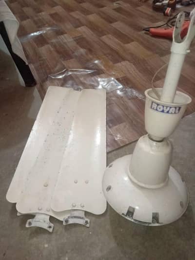 Royle fan for sale ac
