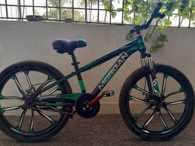 Morgan Mountain Bicycle Just Like New