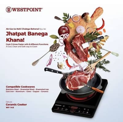 Professional ceramic cooker