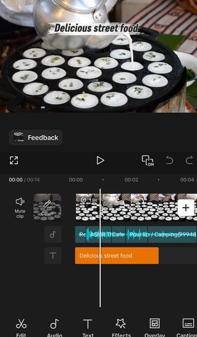 Professional Video Editor for Youtube,instagram,tiktok