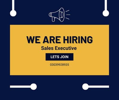 Sales Executive