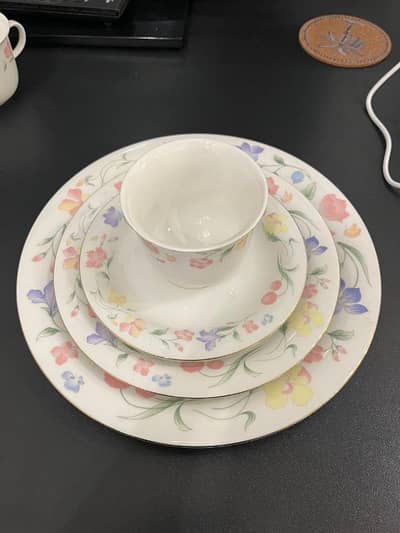 Japanese Collectible New Elegant Tea Set