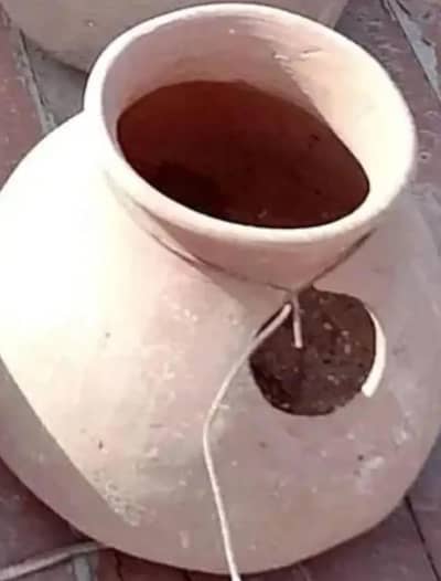 . . . . . . . . . . . .