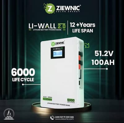 Ziewnic Lithium Battery 48 volts 100 amps