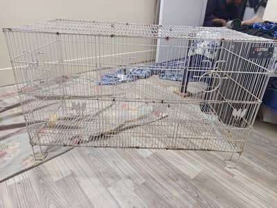 Master Cage 3 Partition