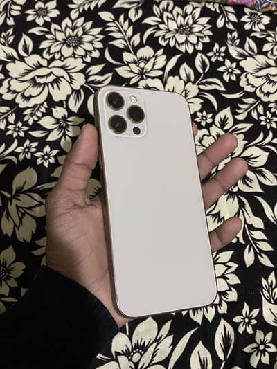 12 pro max 7days warranty total original waterpack airtight03074372372