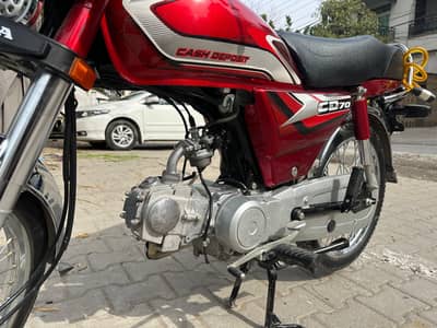 CD 70 in lush condition