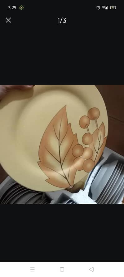 new dinner with tea set