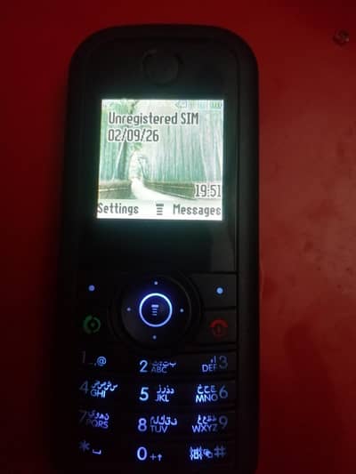 Motorola phone W205