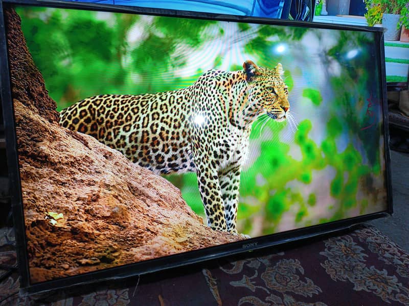 new star electronics 1