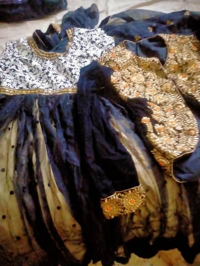 frock net plus velvet