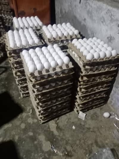 Adrees Faisalabad sea a kar  Andea laenea pare gae