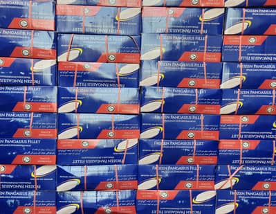 Fish Fillets / Shrimps / Frozen Shrimps / Pangasius Fish Fillets /Fish