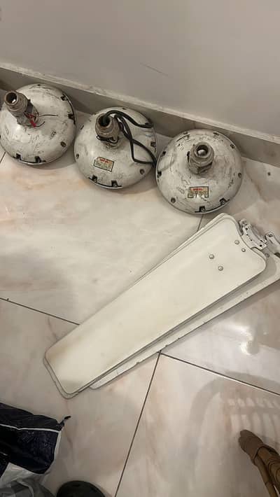 4 x Royal fan ceiling fans.