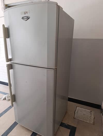 Haier Large Size Fridge