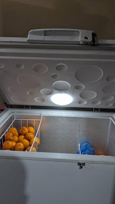 8 years warranty remaining inverter deep freezer