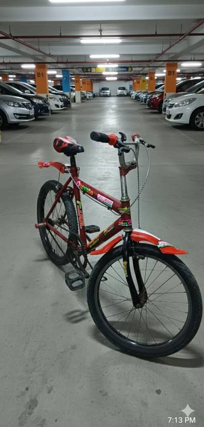 20" Bicycle
