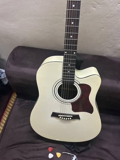 Astraca professional guitar