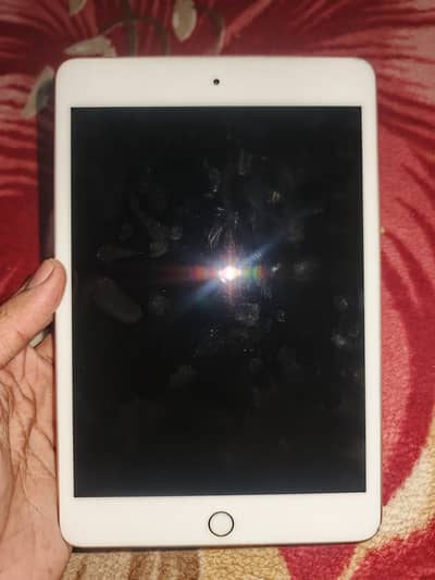iPad mini 5 64GB 10/10