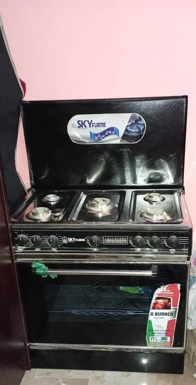skyFlame 5-Burner Gas Stove with oven and Rotisserie .