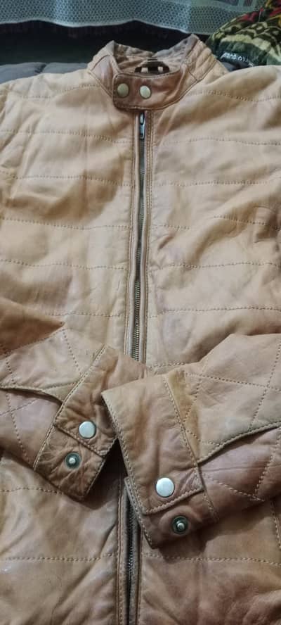 Original Sage leather jacket sale