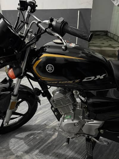 Yamaha YB 125Z-DX 2025