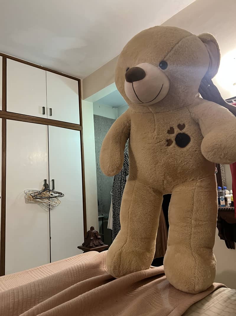 Teddy bear 0