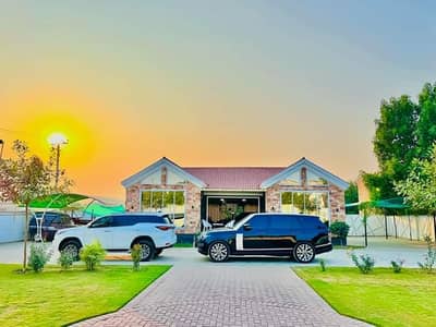 Whatsapp 03481649829