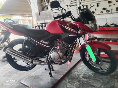 Yamaha YBR 125G | Model 2024 | Total Genuine