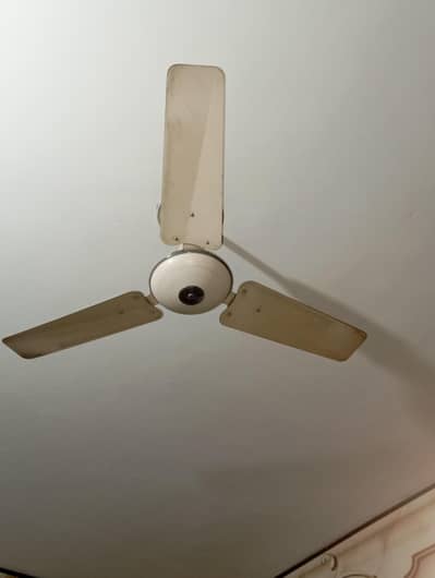 Ceiling Fan
