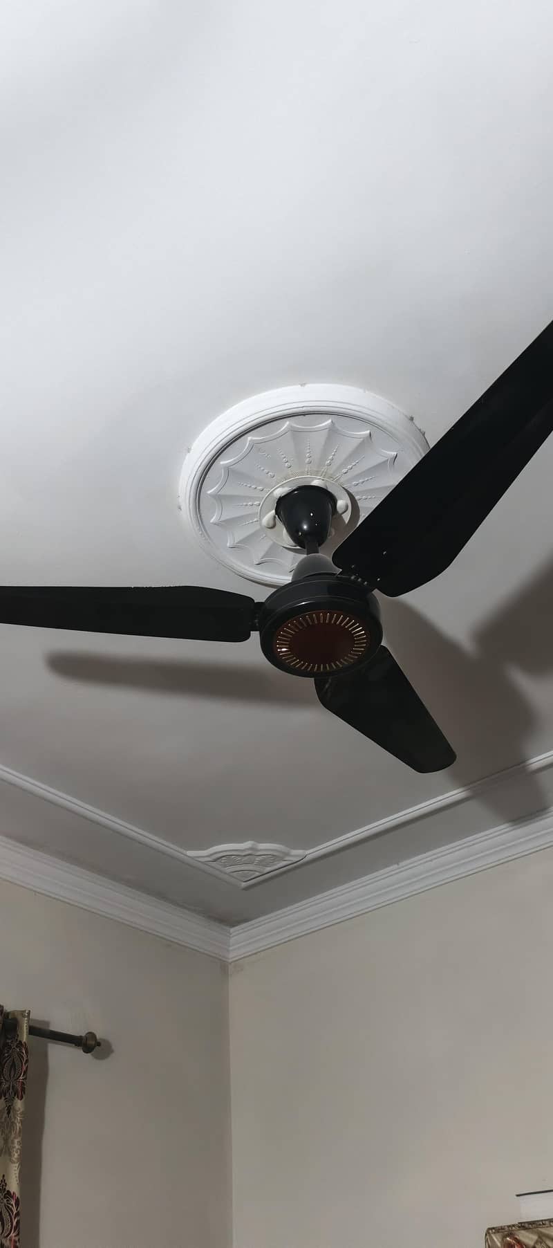ceiling fan 1