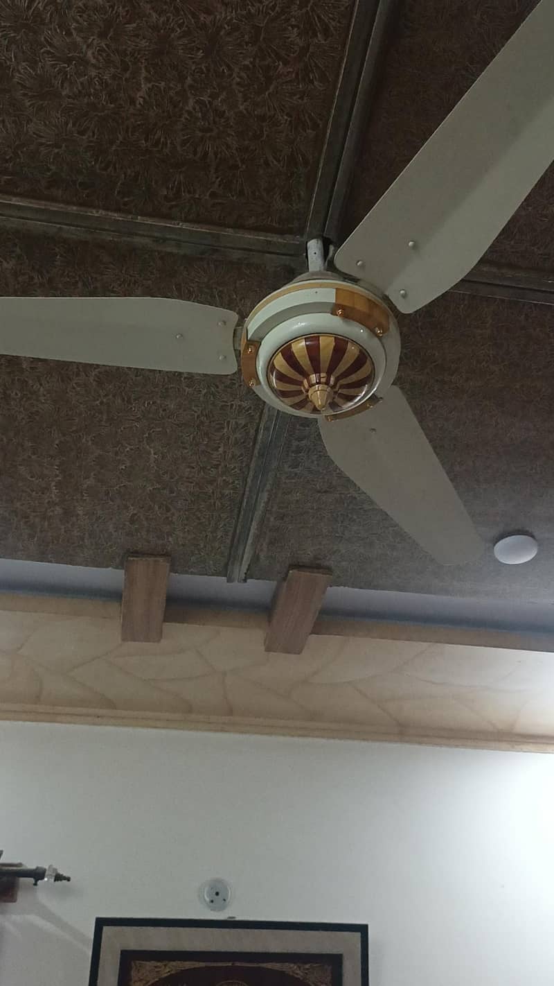 ceiling fan 3