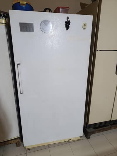 GE industrial Freezer.