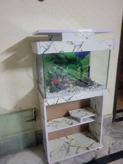 Fish Aquarium 2Ft