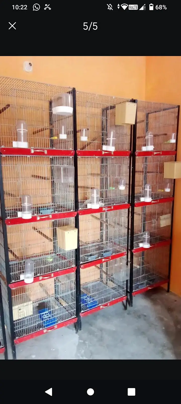 Beautiful professional cages for sale — photo 3