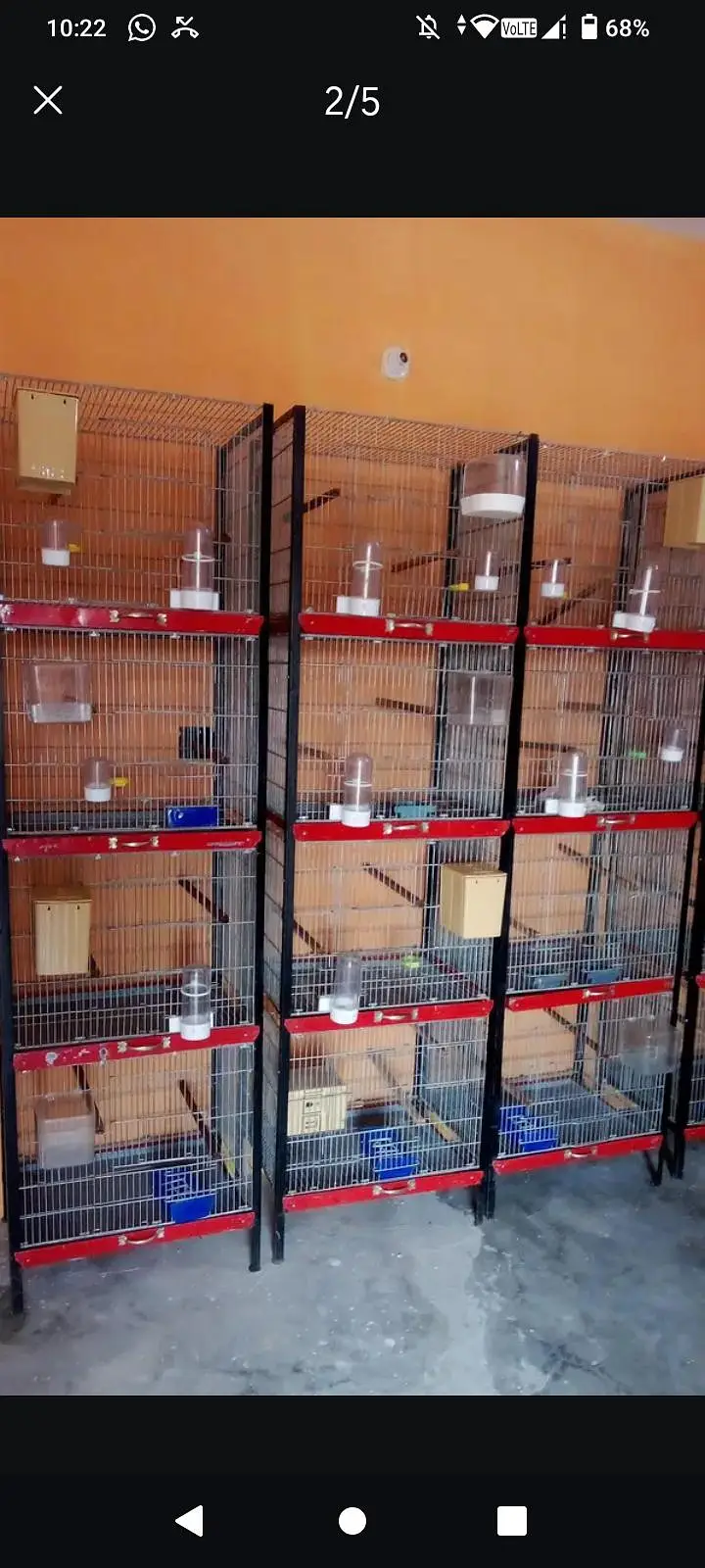Beautiful professional cages for sale — photo 4