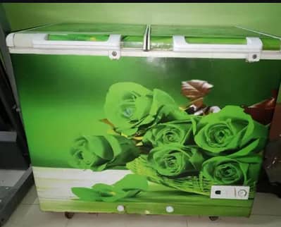 D Frezer 2 Door For Sale -Waves D Freezer 2 Door-