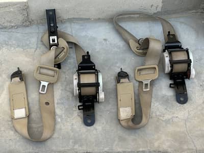 Honda Civic Reborn Genuine Seat Belts