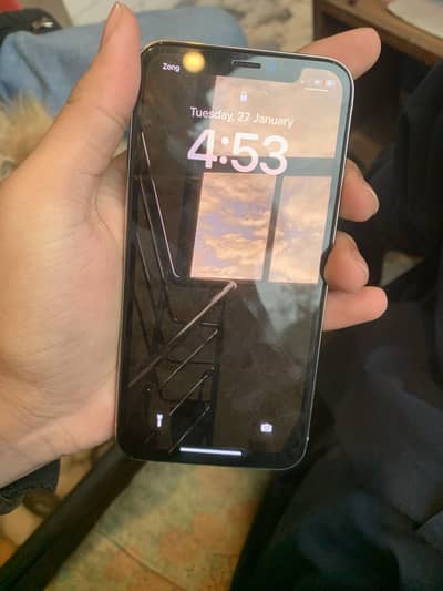 iPhone X 256 PTA Approved