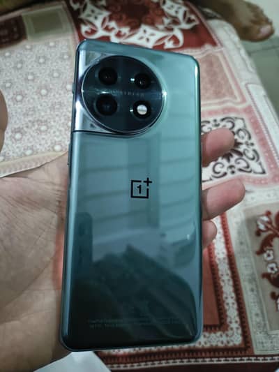 11 plus 11 in lush condition