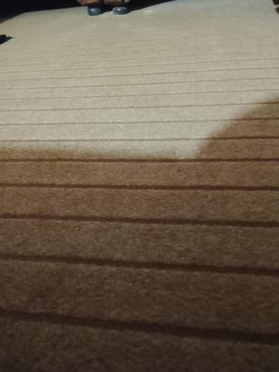 selling new carpet  brown colour