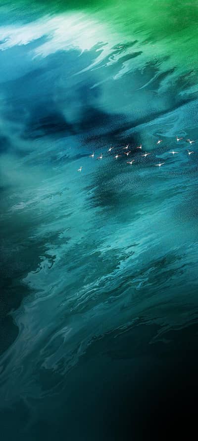 Female assistant required