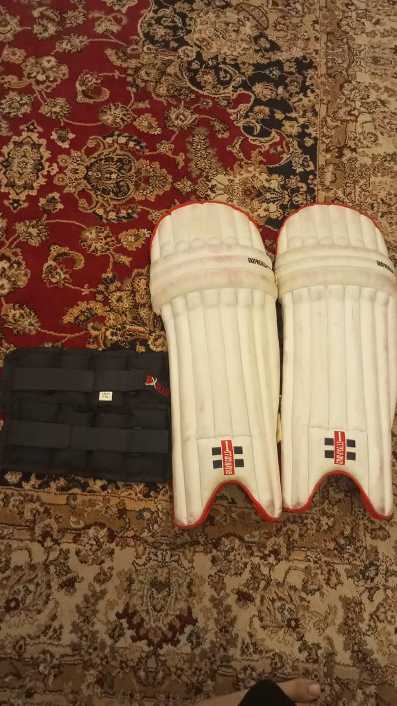 cricket  kit 0