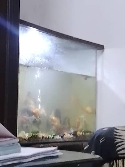 Home used Aquarium