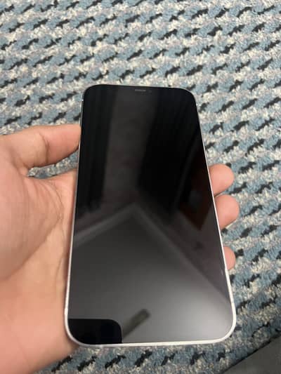 IPhone 12 Pro max 256 GB pta approved