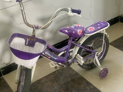 Girls bicycle