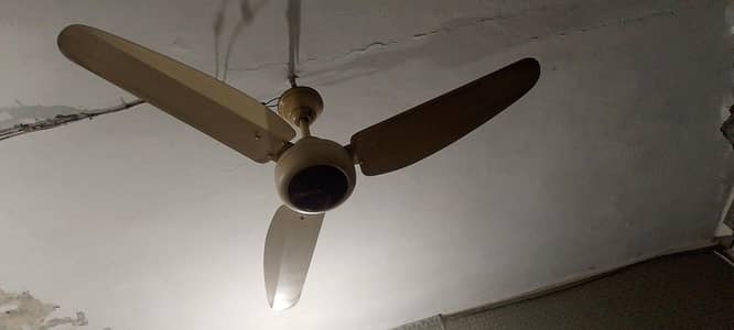 Royal Ceiling Fan for Sale