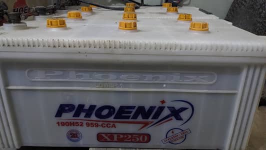 phoinex 250 31