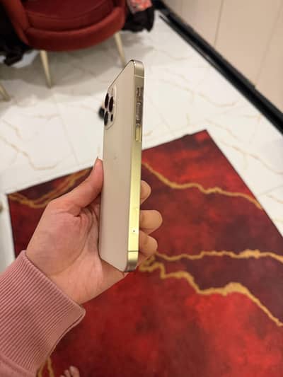 Iphone 12 pro 256gb dual physical