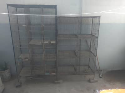 Birds Cages